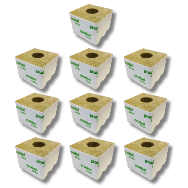 10 Pack Rockwool Blocks 100x100mm with Hole 8G - Grodan-Off Grid Living Supplies