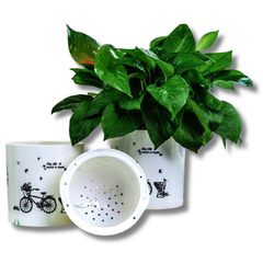 10pcs Flower Pot PP Plastic Garden Nursery Seedling Grow Container TA03/05/09-Off Grid Living Supplies