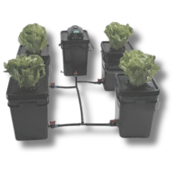 20L Bucket with Lid for DWC or Aquaponics DIY Hydroponic Use-Off Grid Living Supplies