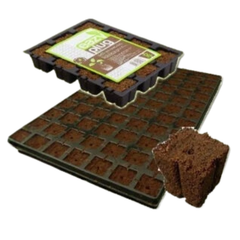 24 Cell Propagation Root Kit with Dome and Clear Lid - Eazy Plug-Off Grid Living Supplies