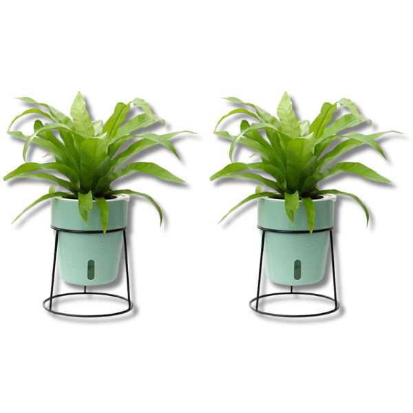 2pcs Self Watering Home Gardening Decorative Plastic Grow Pot Green A605-Off Grid Living Supplies