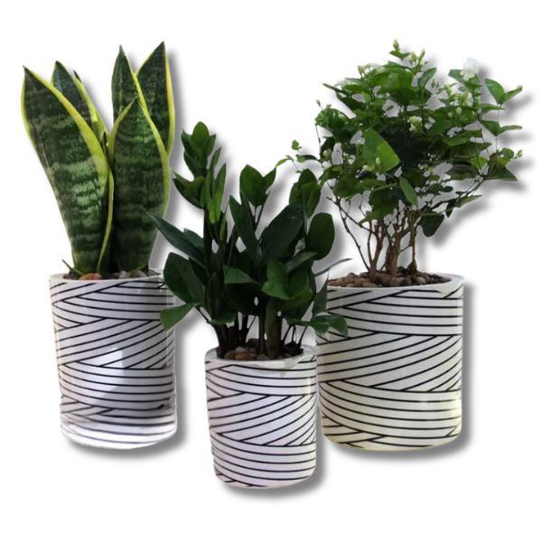 3pcs PP Plastic Plant Flower Pots Nursery Seedling Containers TA03/05/09-Off Grid Living Supplies
