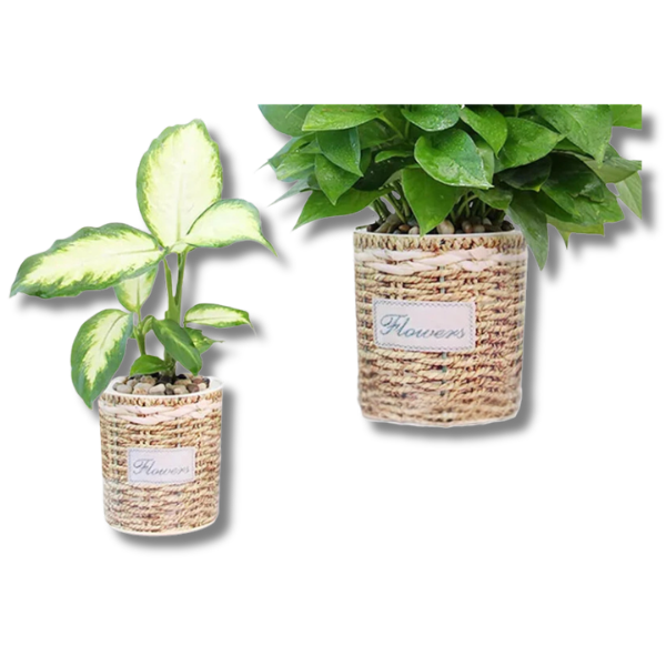 3pcs Self-Watering Flower Pots in Two Sizes with Striped Design TA05/09-Off Grid Living Supplies