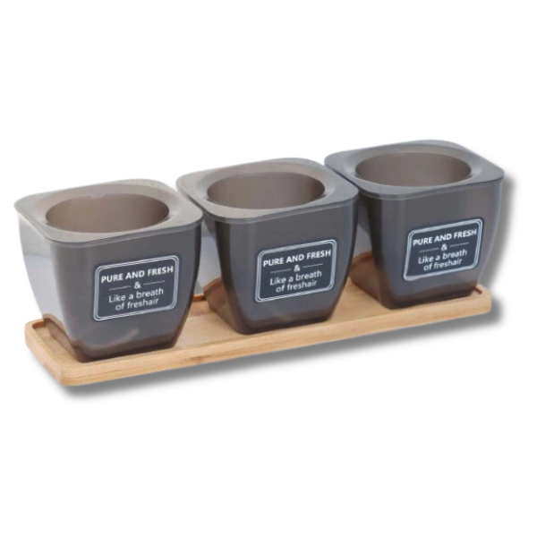 3pcs Self-Watering Flower Pots with Bamboo Tray for Succulents T04-Off Grid Living Supplies