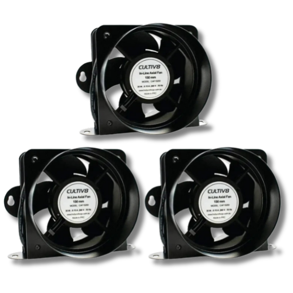 3x 6