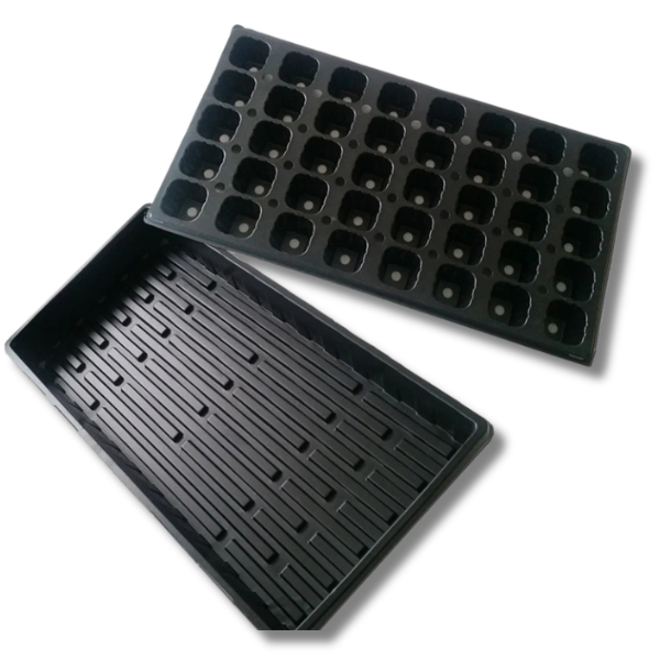 40 Cell Propagation Tray with Grow Cubes and Black Base-Off Grid Living Supplies