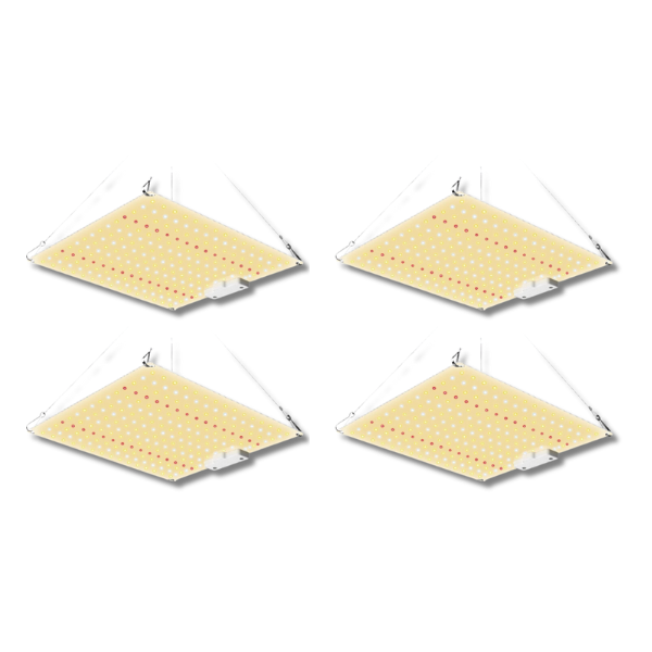 4x 50W Quantum Board LED Grow Light Kits-Off Grid Living Supplies