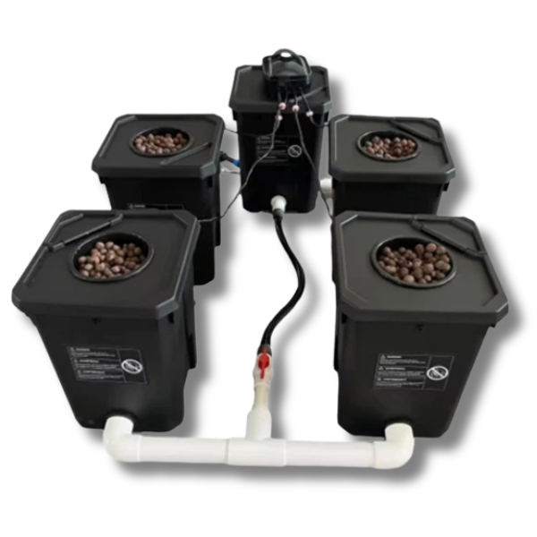5 Bucket RDWC Recirculating Deep Water Culture Hydroponic System with GH Nutrients-Off Grid Living Supplies