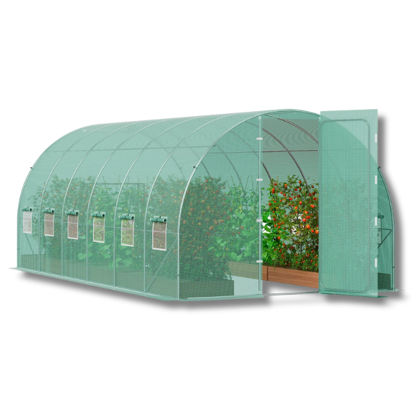 5.9m x 3m x 2.25m Walk-In Tunnel Greenhouse with Galvanised Frame & PE Cover - Green-Off Grid Living Supplies
