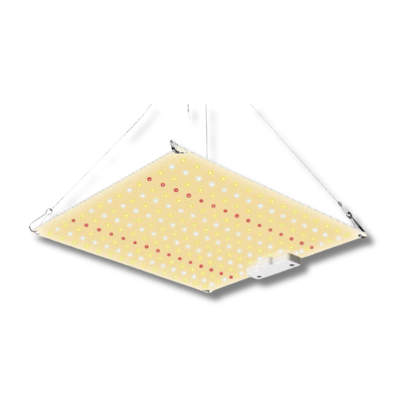 50W Quantum Board LED Grow Light Full Spectrum-Off Grid Living Supplies