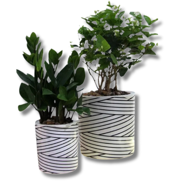 5pcs PP Plastic Plant Flower Pots Nursery Seedling Garden Containers TA05/09-Off Grid Living Supplies