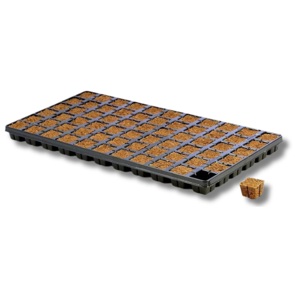 66 Cell Coco Plug Propagation Tray - Eazy Plug-Off Grid Living Supplies