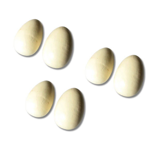 6x Painted Large Brood Eggs for Poultry Laying Nests-Off Grid Living Supplies Australia