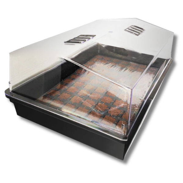 77 Cell Coco Plug Seeding Cutting Tray with Solid Propagation Dome Kit-Off Grid Living Supplies