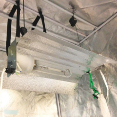 77 Cell Coco Plug Seeding and Cutting Kit with Heat Mat, Controller and CFL Hygro Meter-Off Grid Living Supplies