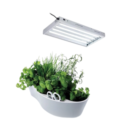 77 Cell Seedling and Cutting Box with Heat Mat, Controller and T5 Light-Off Grid Living Supplies