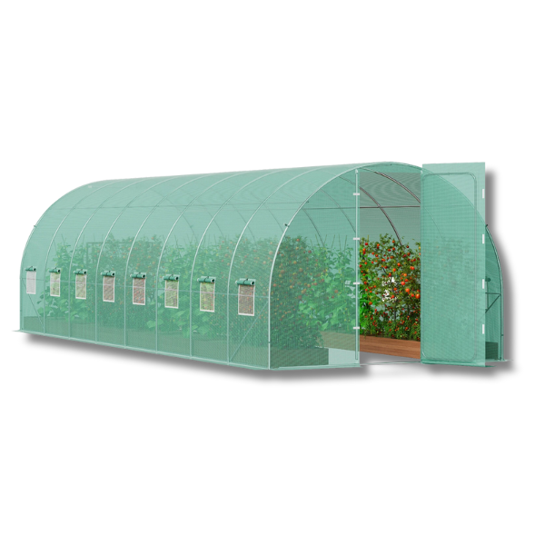 8.35m x 2.9m x 2.25m Walk-In Tunnel Greenhouse with Galvanised Frame & PE Cover - Green-Off Grid Living Supplies