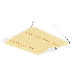80cm Grow Tent with 50W LED, Timer, Clip Fan and Yoyo Hanger Combo-Off Grid Living Supplies