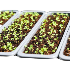 Brand New Design Auto Feed Self-Watering Smart Garden Vege Easy Grow Pot SC03-Off Grid Living Supplies