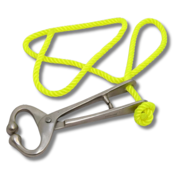 Bull Lead Rope for Calving & Rearing Cattle - Farm & Showing Use-Off Grid Living Supplies Australia