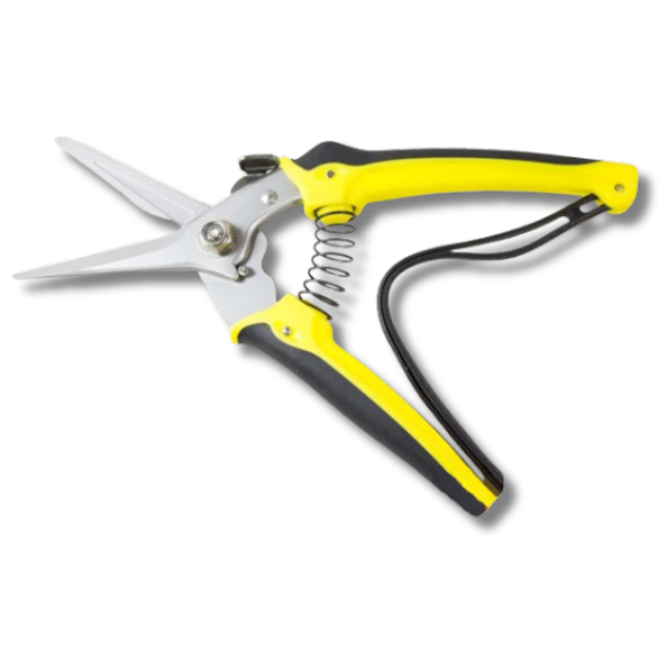 Footrot Shears for Sheep & Goats-Off Grid Living Supplies Australia