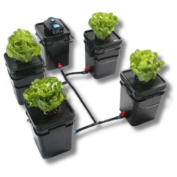 GreenPlanet Starter Kit with 5 Pot 20L DWC Deep Water Culture System-Off Grid Living Supplies