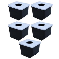 Hydroponic Bato Dutch Bucket Set with Lids and Net Pots (2 / 5 / 10 / 16 / 24 Sets)-Off Grid Living Supplies