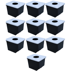 Hydroponic Bato Dutch Bucket Set with Lids and Net Pots (2 / 5 / 10 / 16 / 24 Sets)-Off Grid Living Supplies