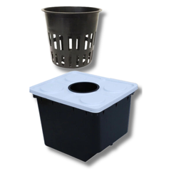 Hydroponic Bato Dutch Bucket Set with Lids and Net Pots (2 / 5 / 10 / 16 / 24 Sets)-Off Grid Living Supplies
