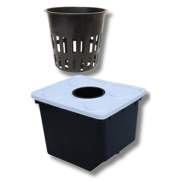 Hydroponic Bato Dutch Bucket Set with Lids and Net Pots (2 / 5 / 10 / 16 / 24 Sets)-Off Grid Living Supplies