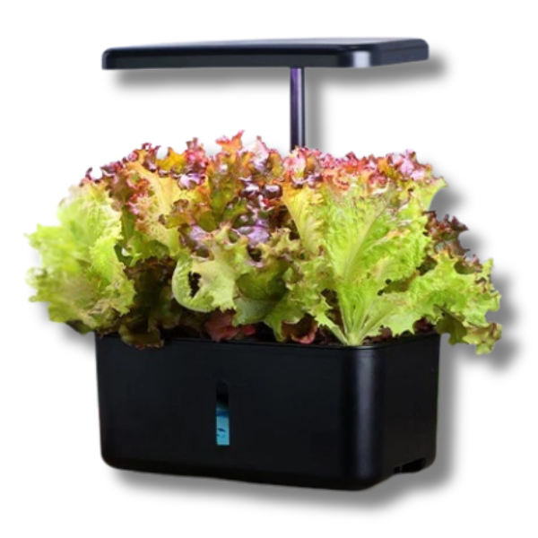 Smart Indoor Hydroponic Garden Vegetable Planter Self-Watering System-Off Grid Living Supplies