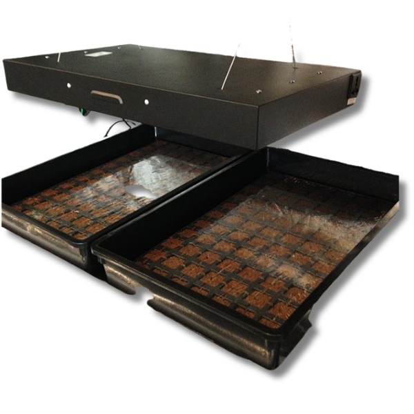 T5 HO 4x24W Propagation Light with Two 77 Cell Seeding Trays 6400K-Off Grid Living Supplies