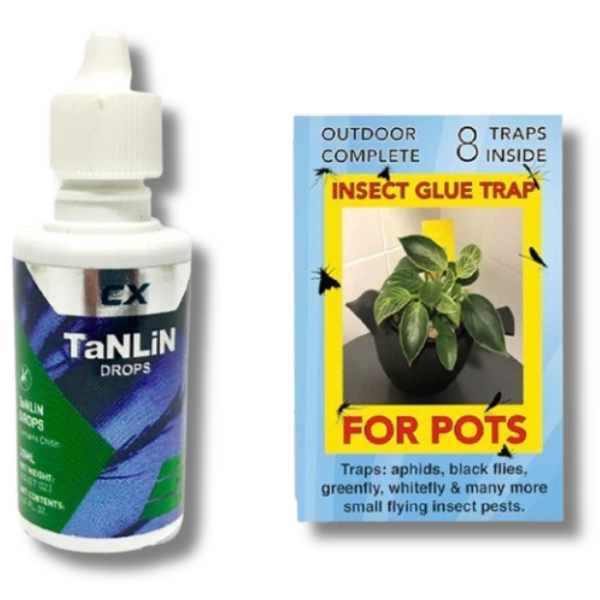 Tanlin 20ml Pest Control with 8pcs Sticky Papers 7x12 cm-Off Grid Living Supplies