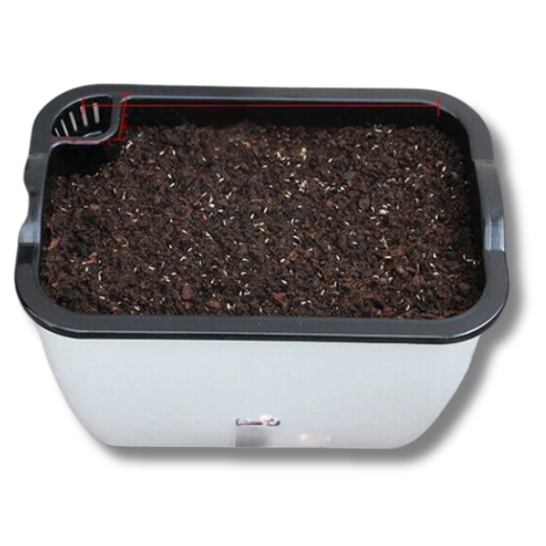 Vegetables and Flowers Planter Trays Self Watering Smart Grow Pot-Off Grid Living Supplies